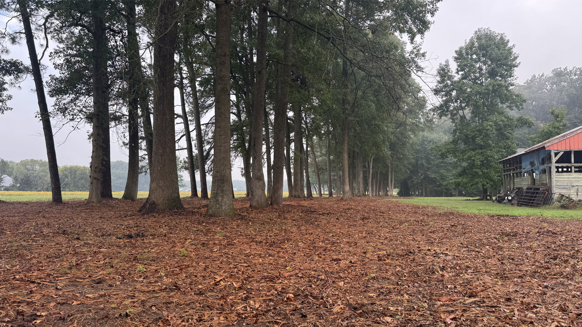 Farm Rescue Vegetation Management