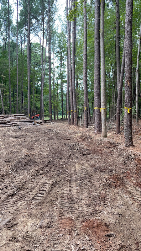 Residential Lot Clearing & Site Preparation